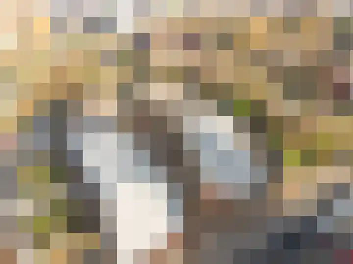Molenrakhof 17 Utrecht thumbnail 43