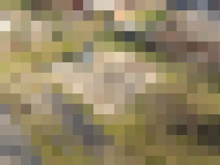 Molenrakhof 17 Utrecht thumbnail 48
