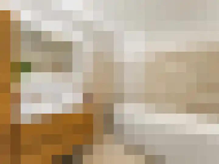 Molenrakhof 17 Utrecht thumbnail 7