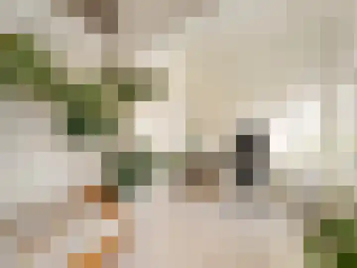 Molenrakhof 17 Utrecht thumbnail 8