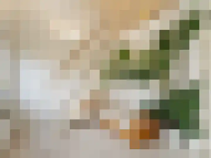 Molenrakhof 17 Utrecht thumbnail 9