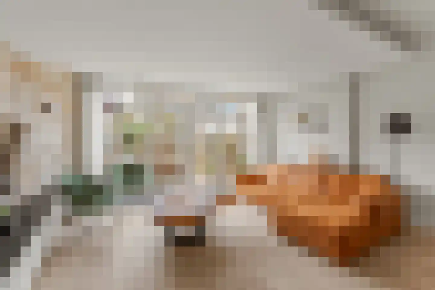 Molenring 111 Waddinxveen thumbnail 10
