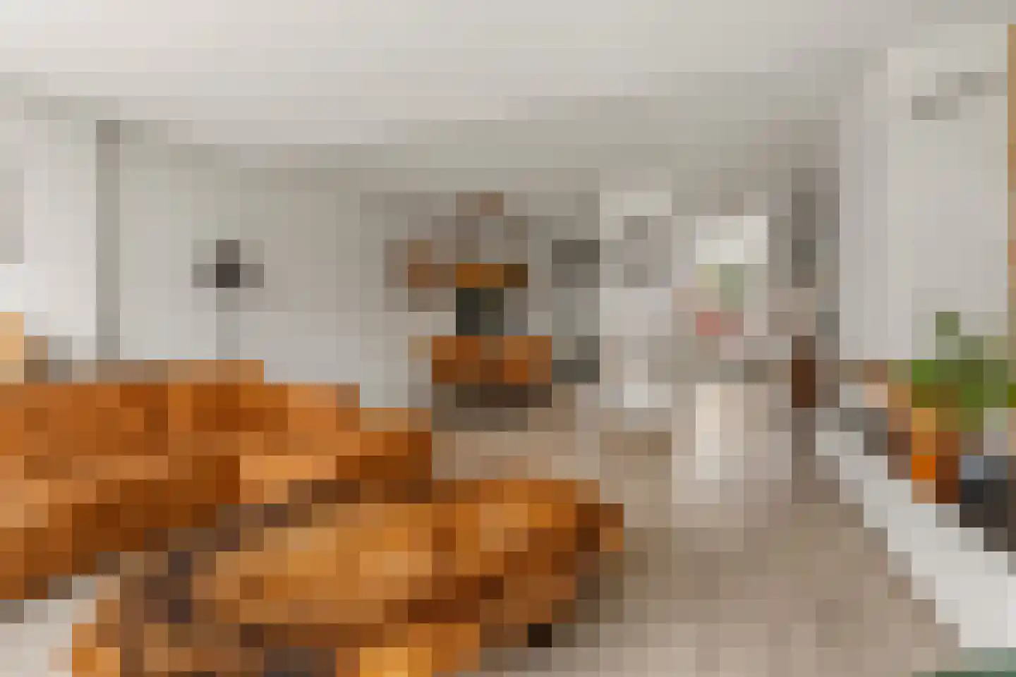Molenring 111 Waddinxveen thumbnail 11