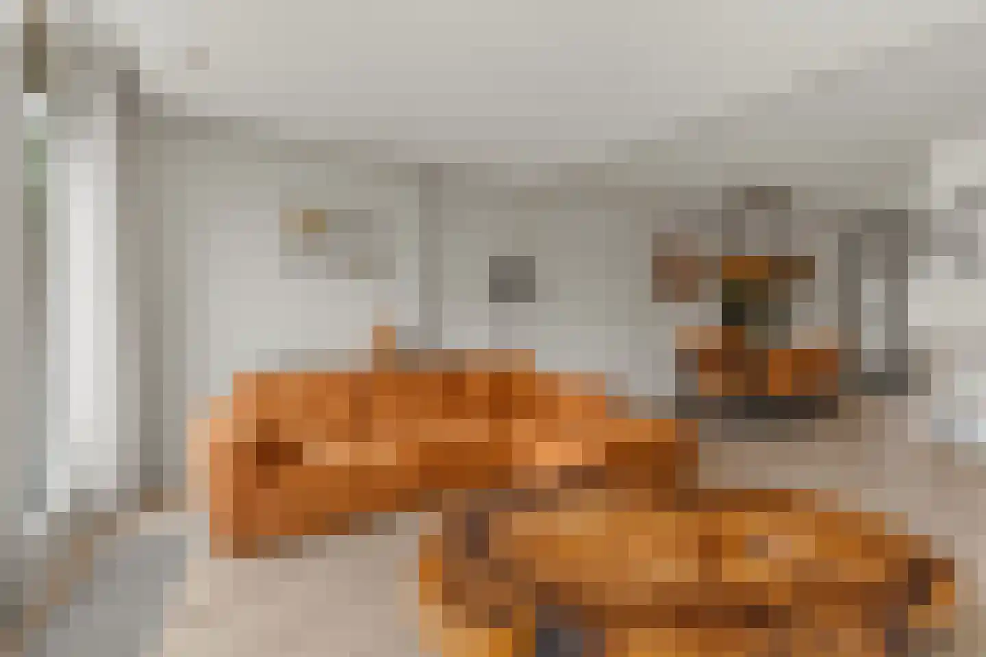 Molenring 111 Waddinxveen thumbnail 12