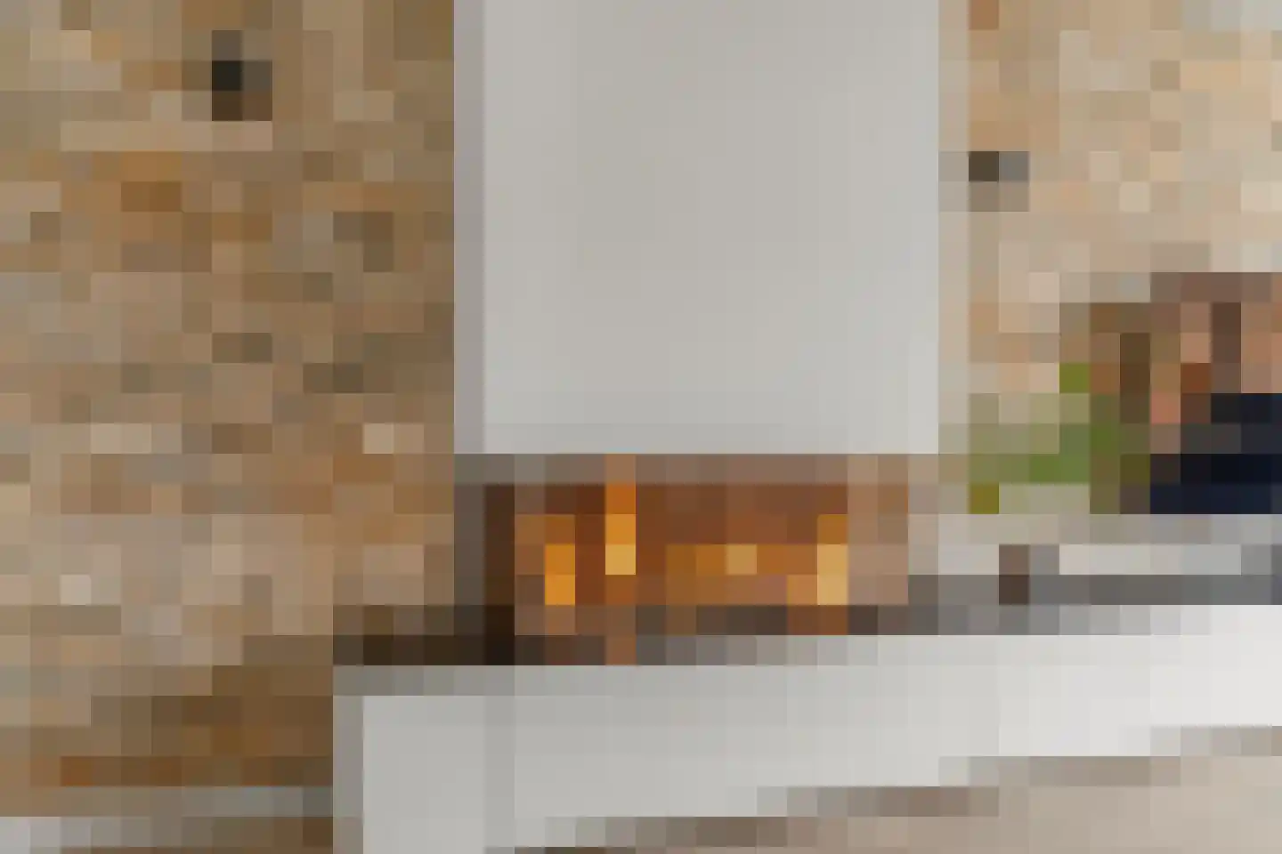 Molenring 111 Waddinxveen thumbnail 14