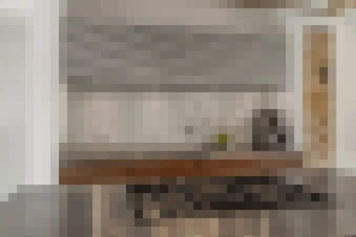 Molenring 111 Waddinxveen thumbnail 17