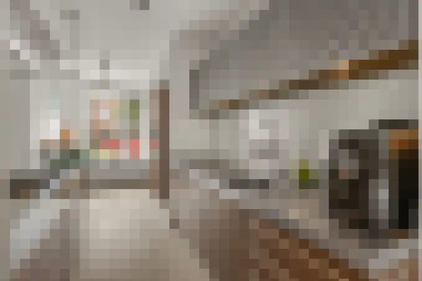 Molenring 111 Waddinxveen thumbnail 18