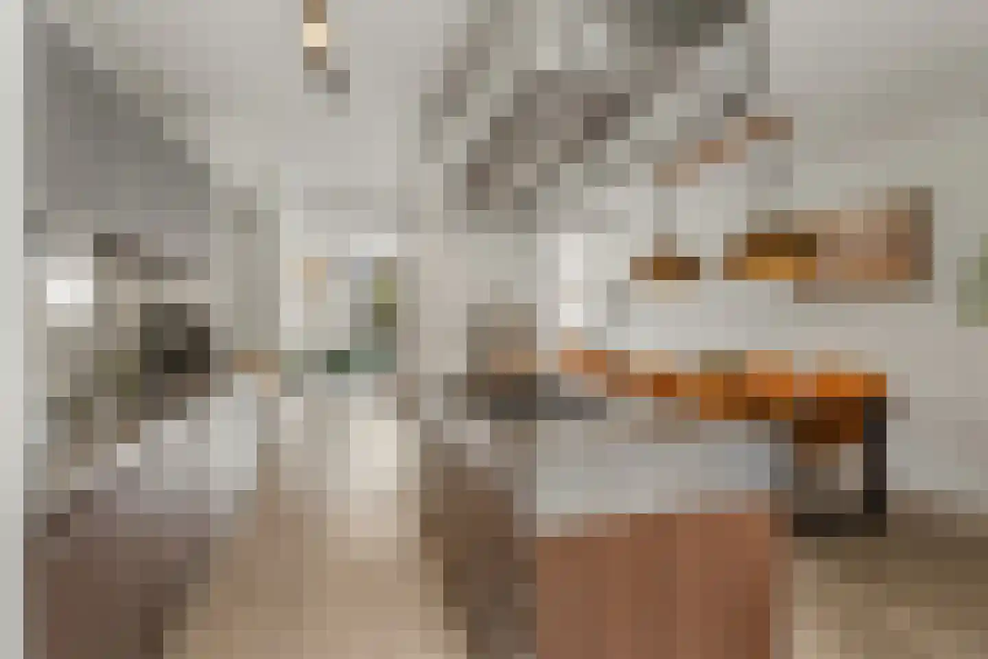 Molenring 111 Waddinxveen thumbnail 21