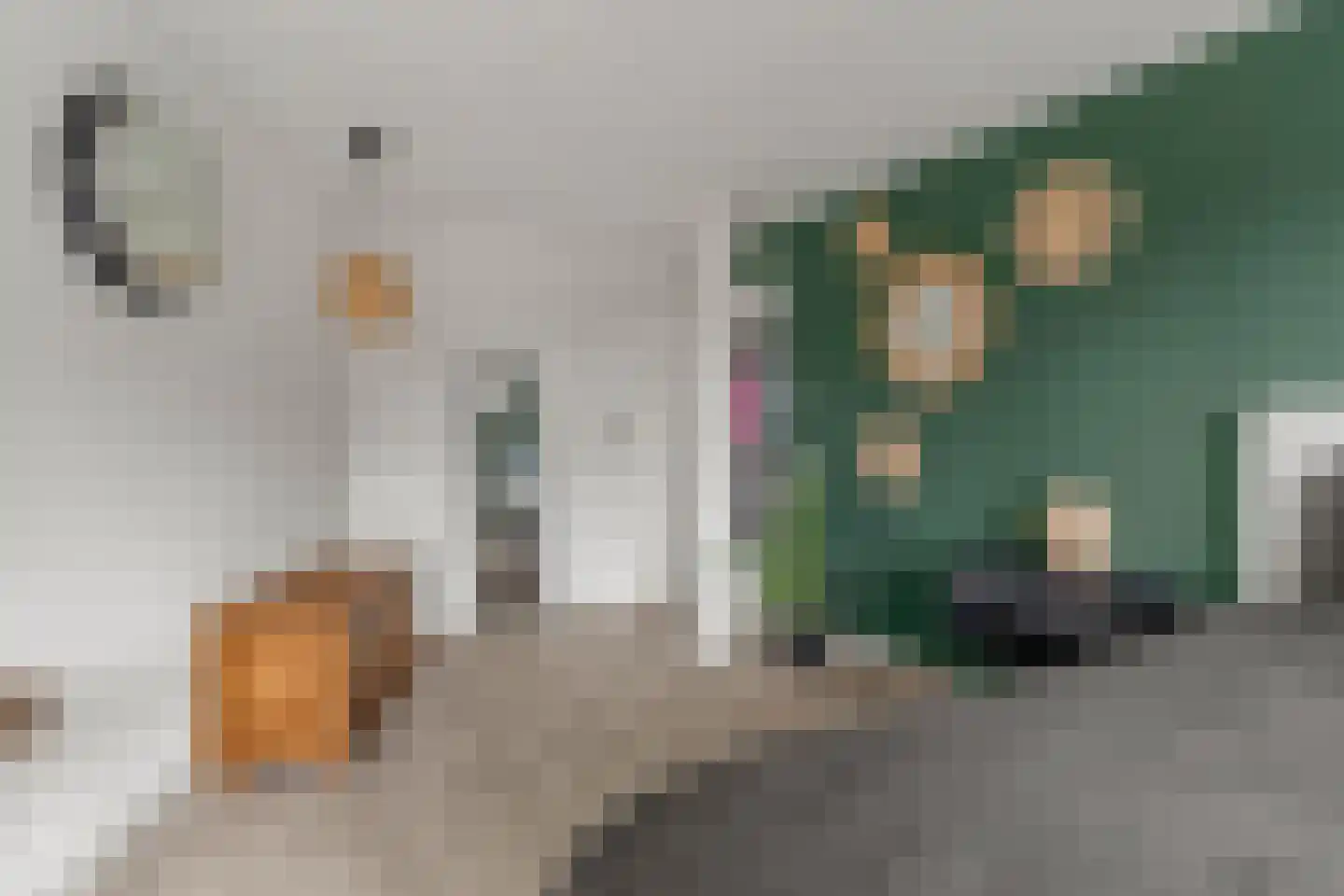 Molenring 111 Waddinxveen thumbnail 30