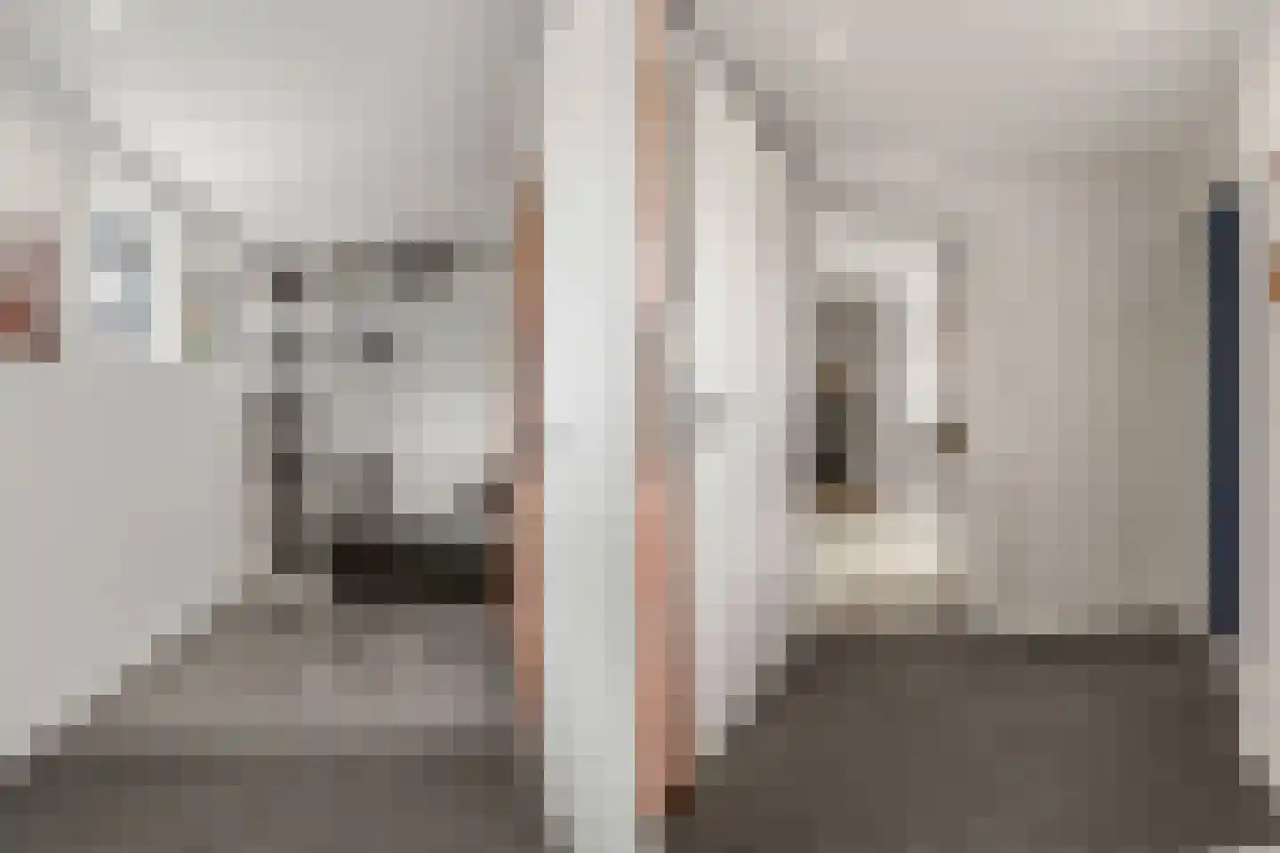 Molenring 111 Waddinxveen thumbnail 36