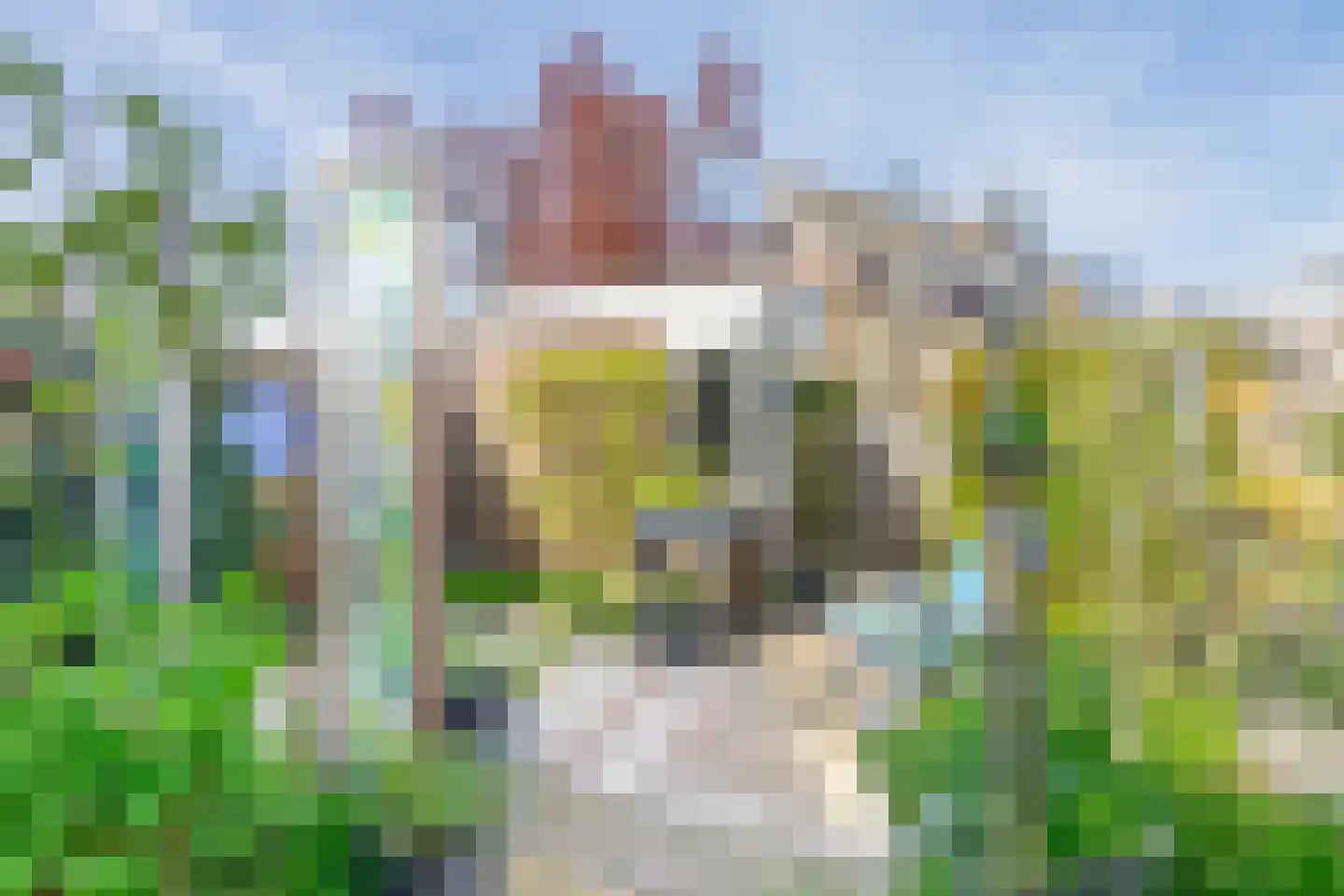 Molenring 115 Waddinxveen thumbnail 19