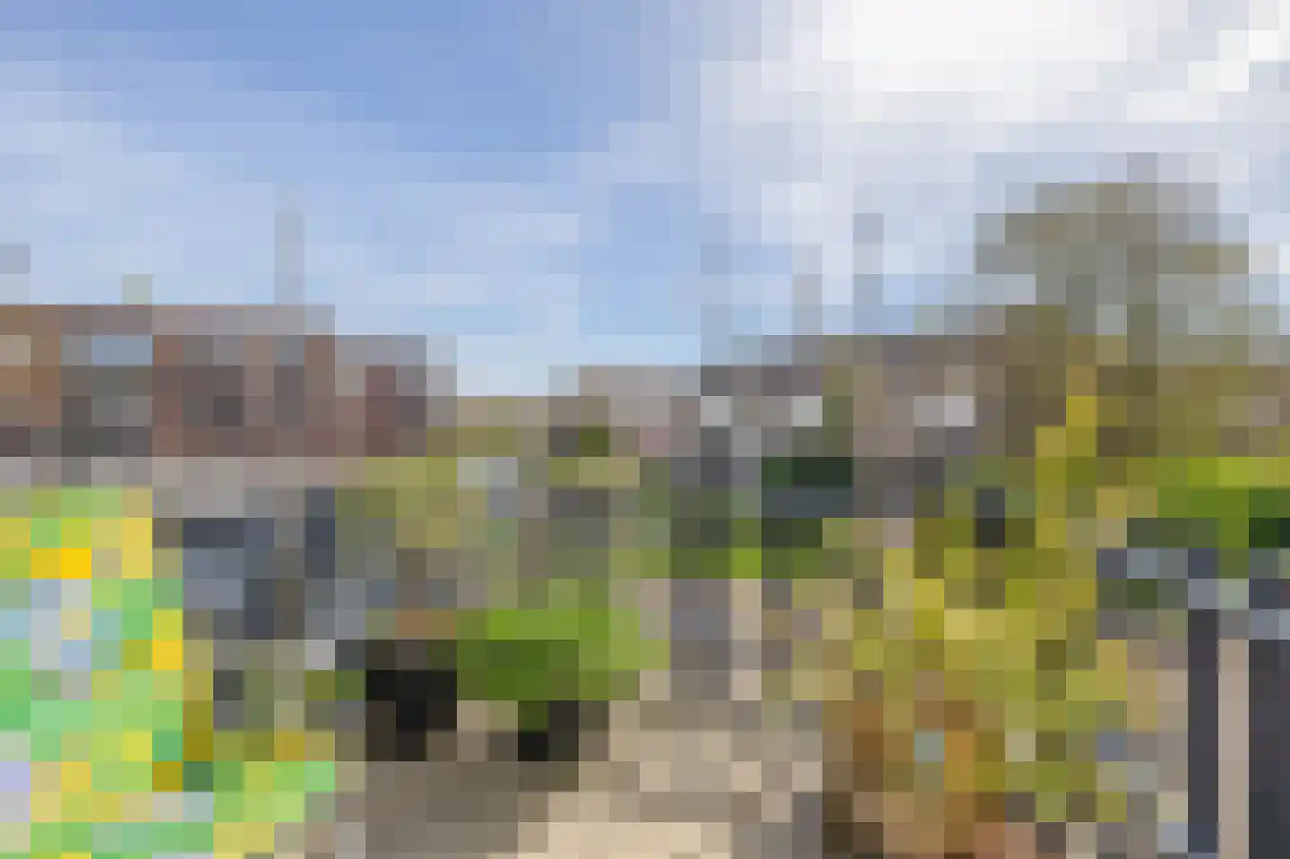 Molenring 115 Waddinxveen thumbnail 27