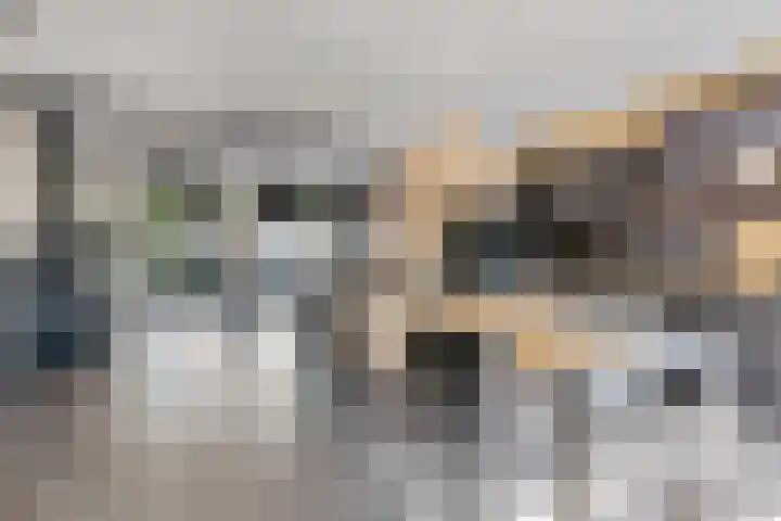 Molenring 117 Waddinxveen thumbnail 11