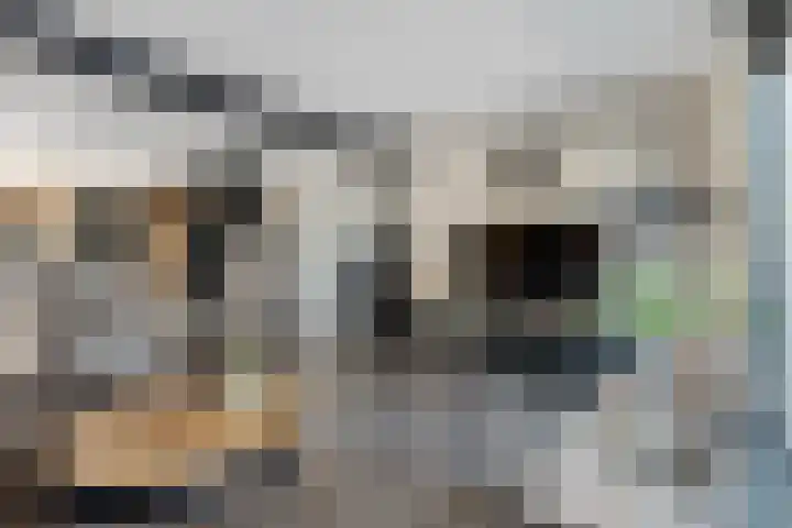 Molenring 117 Waddinxveen thumbnail 17