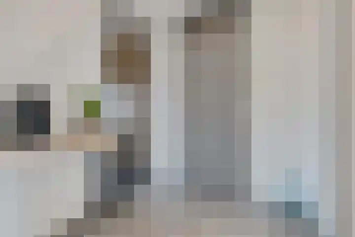Molenring 117 Waddinxveen thumbnail 18