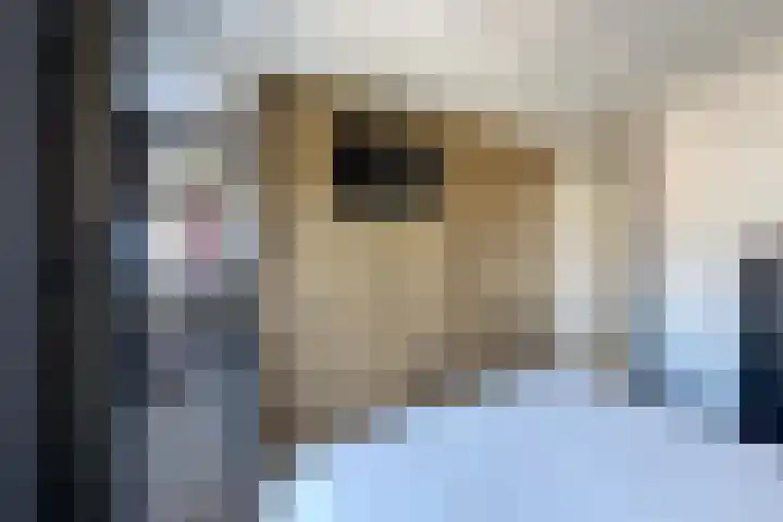 Molenring 117 Waddinxveen thumbnail 19