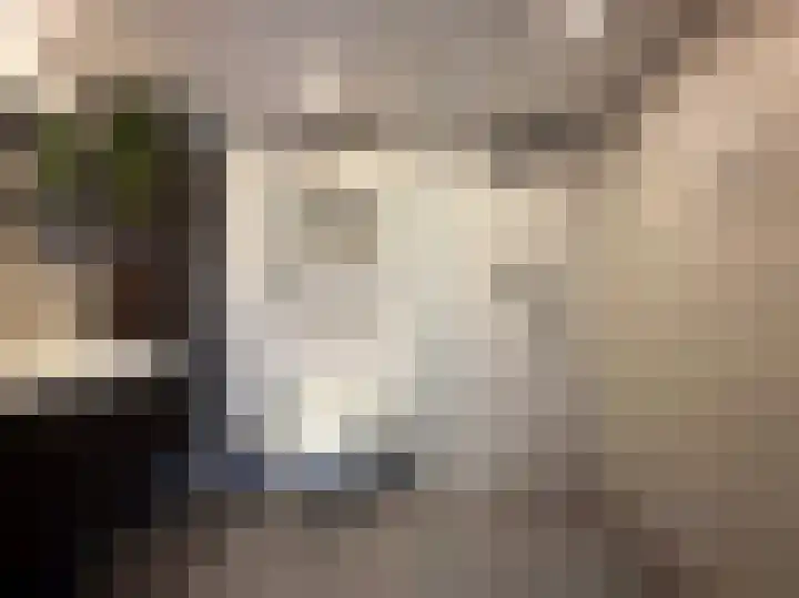Molenring 117 Waddinxveen thumbnail 23