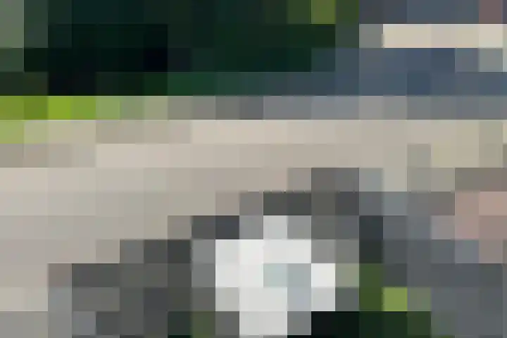 Molenring 117 Waddinxveen thumbnail 28