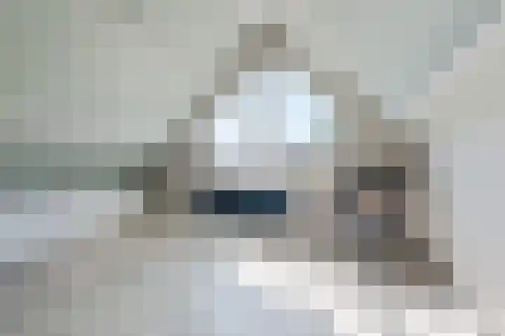 Molenring 117 Waddinxveen thumbnail 31