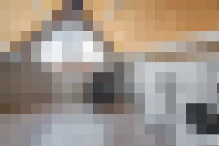 Molenring 117 Waddinxveen thumbnail 32