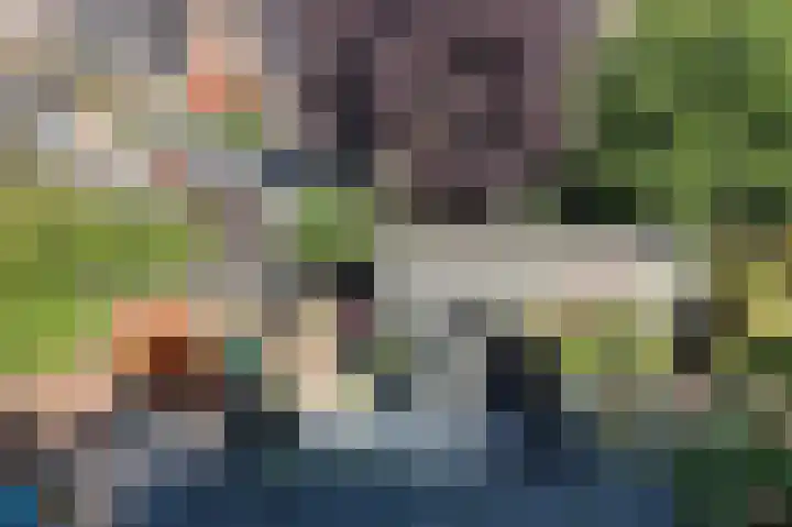 Molenring 117 Waddinxveen thumbnail 33
