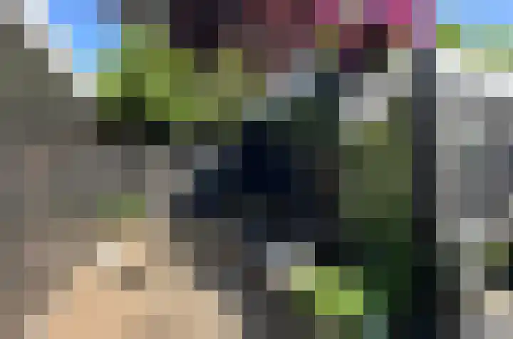 Molenring 117 Waddinxveen thumbnail 38
