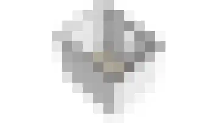 Molenring 117 Waddinxveen thumbnail 44