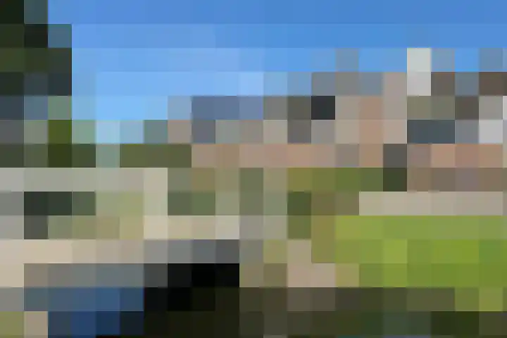 Molenring 117 Waddinxveen thumbnail 5