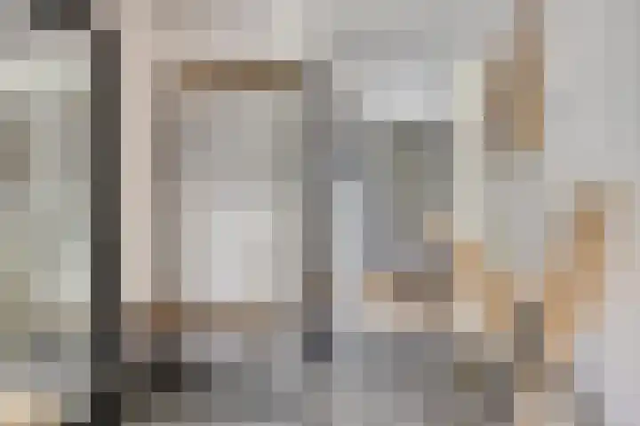 Molenring 163 Waddinxveen thumbnail 11