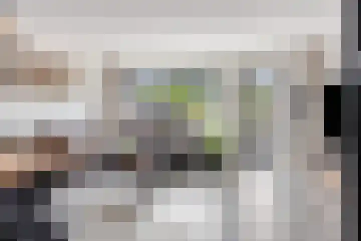 Molenring 163 Waddinxveen thumbnail 12