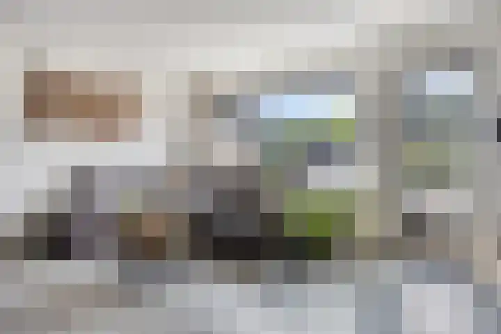 Molenring 163 Waddinxveen thumbnail 13