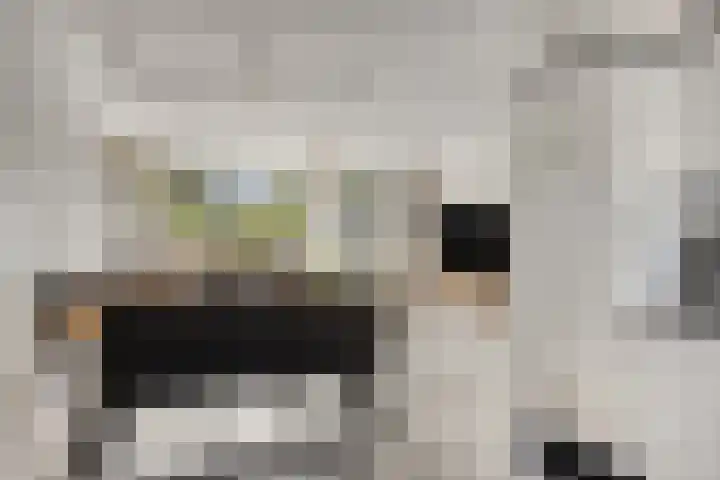 Molenring 163 Waddinxveen thumbnail 17