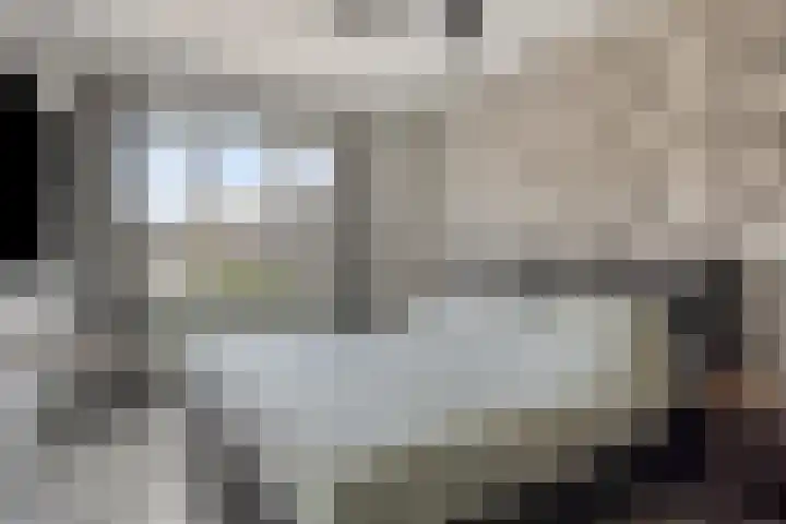 Molenring 163 Waddinxveen thumbnail 19