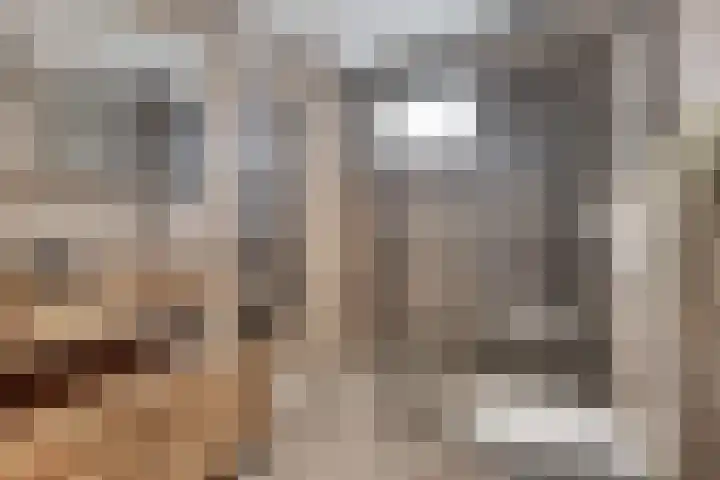 Molenring 163 Waddinxveen thumbnail 22