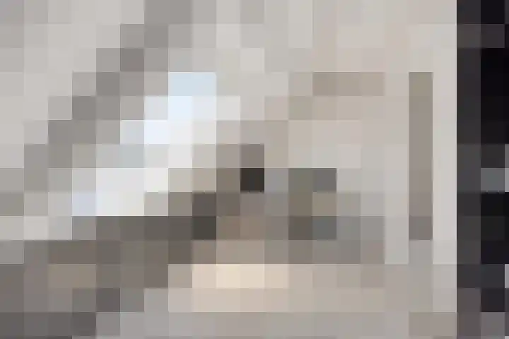 Molenring 163 Waddinxveen thumbnail 34