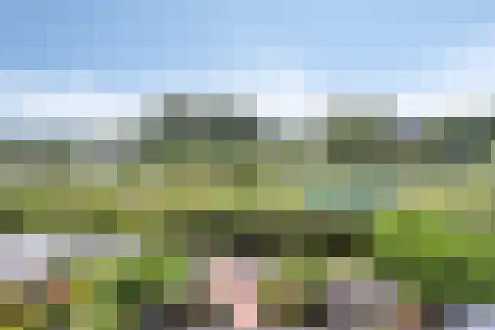 Molenring 163 Waddinxveen thumbnail 36