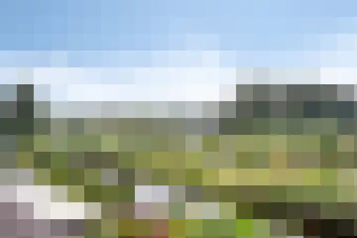 Molenring 163 Waddinxveen thumbnail 37