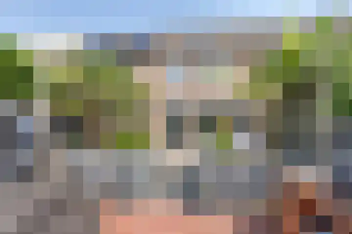 Molenring 163 Waddinxveen thumbnail 41