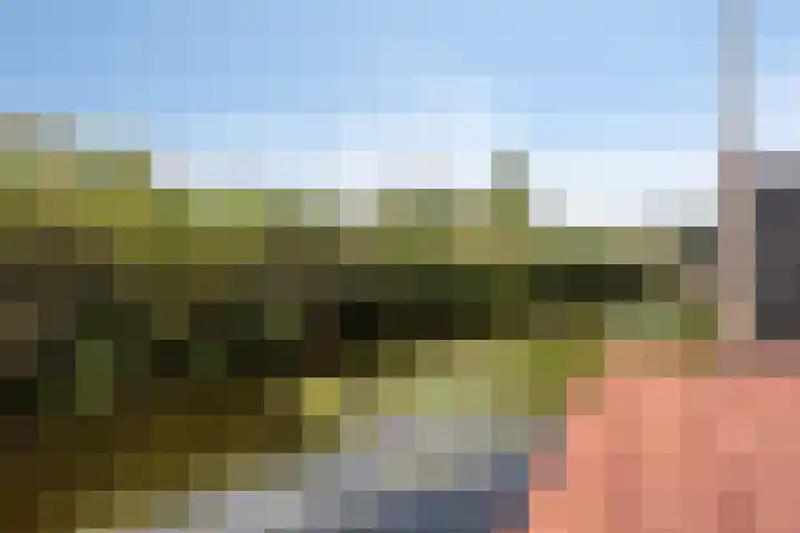 Molenring 163 Waddinxveen thumbnail 42