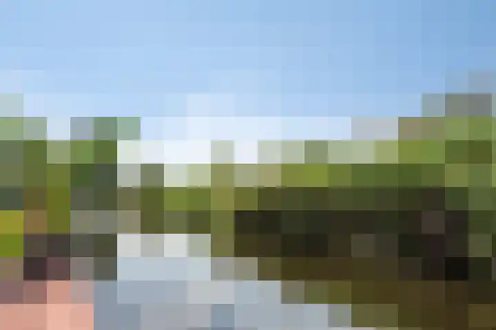 Molenring 163 Waddinxveen thumbnail 43