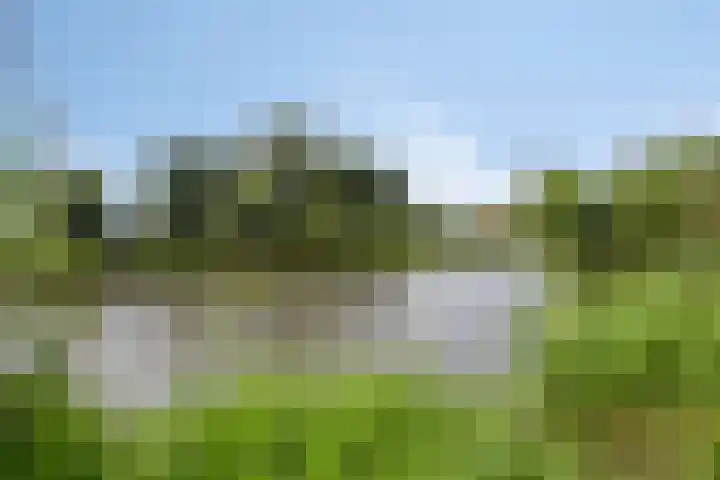 Molenring 163 Waddinxveen thumbnail 47