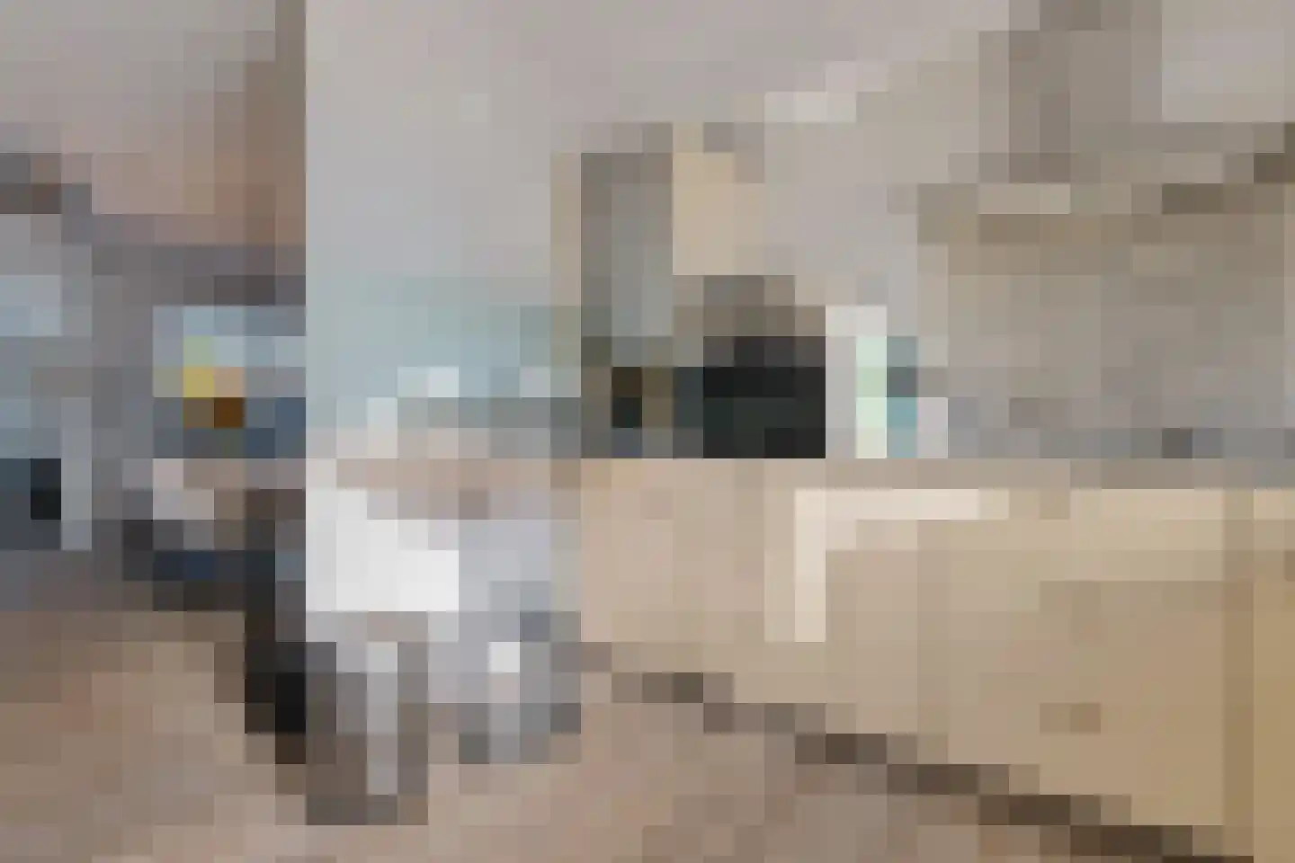 Molenring 171 Waddinxveen thumbnail 14