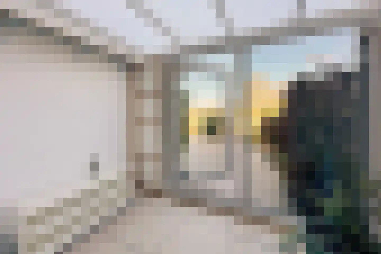 Molenring 171 Waddinxveen thumbnail 18