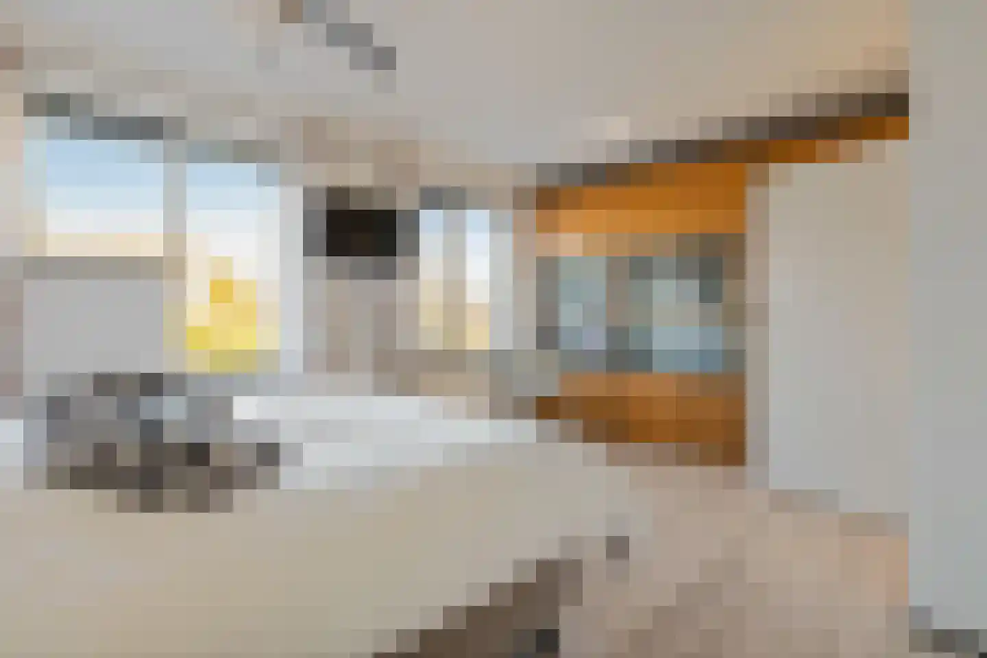 Molenring 171 Waddinxveen thumbnail 23