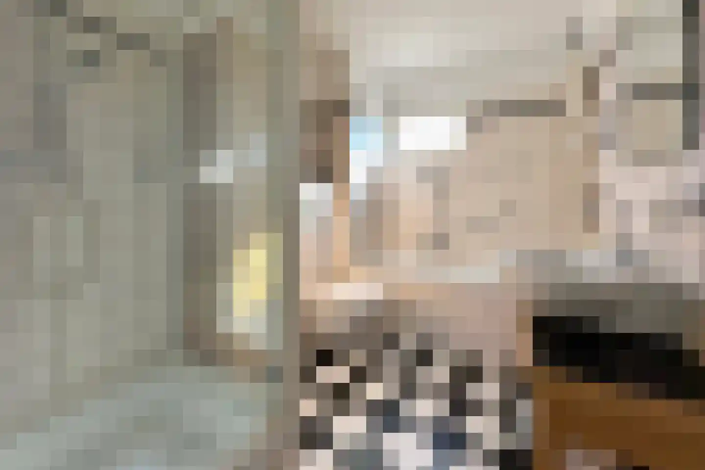 Molenring 171 Waddinxveen thumbnail 25