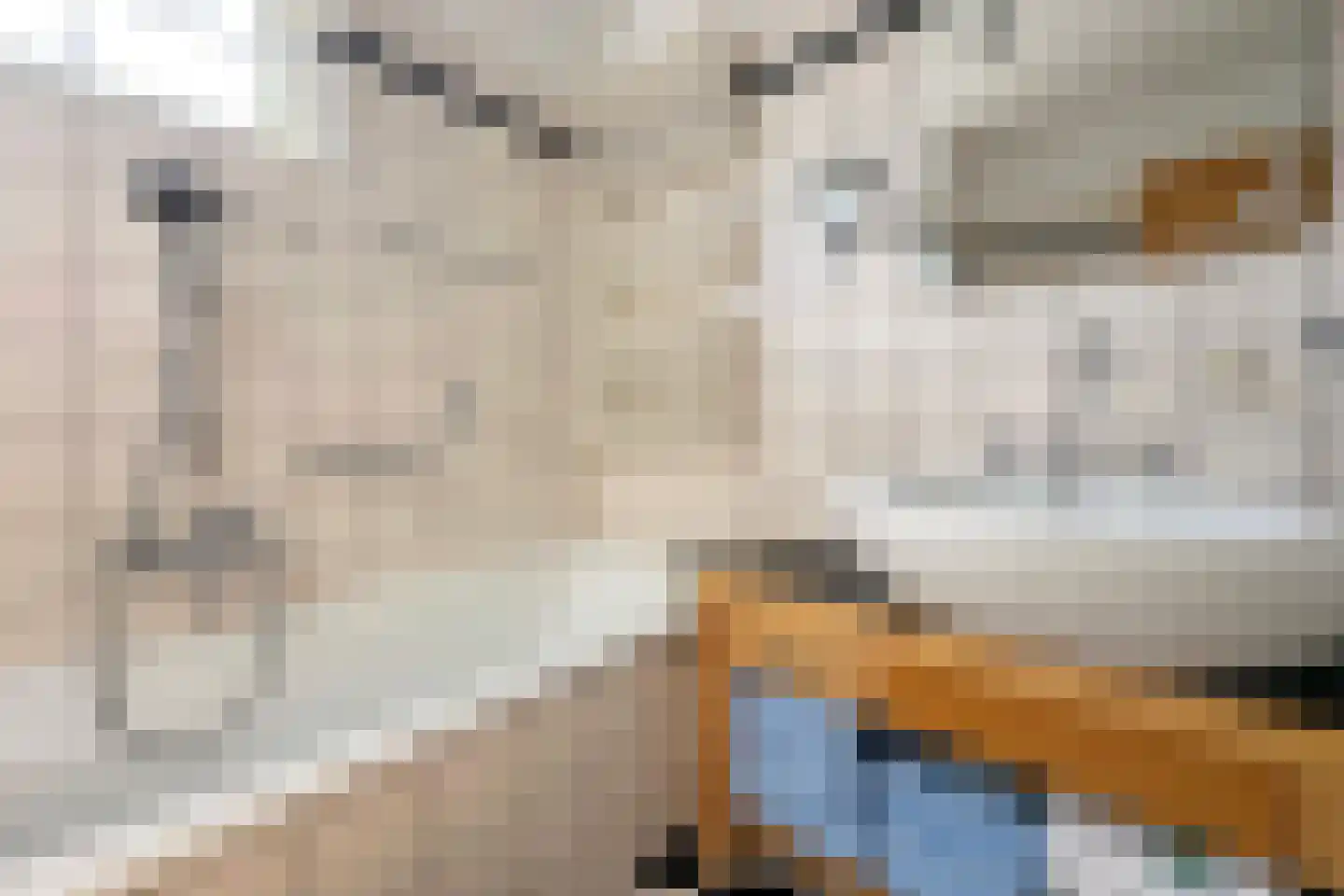 Molenring 171 Waddinxveen thumbnail 26