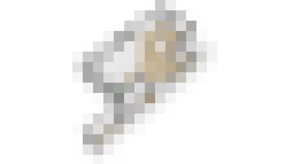 Molenring 171 Waddinxveen thumbnail 43