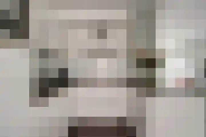 Molenring 37 Waddinxveen thumbnail 17