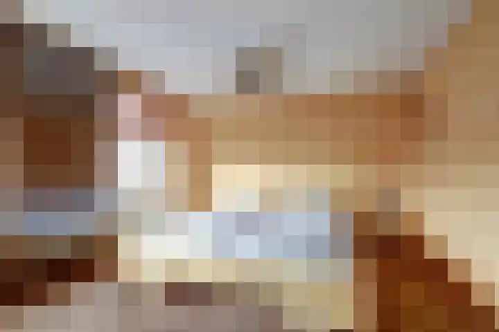 Molenring 37 Waddinxveen thumbnail 19