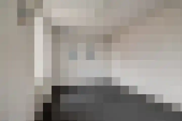 Molenring 37 Waddinxveen thumbnail 22